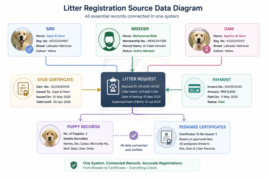 Litter registration source data diagram showing sire, dam, breeder, stud certificate, payment, litter request, puppy records, and pedigree certificates connected in one system.